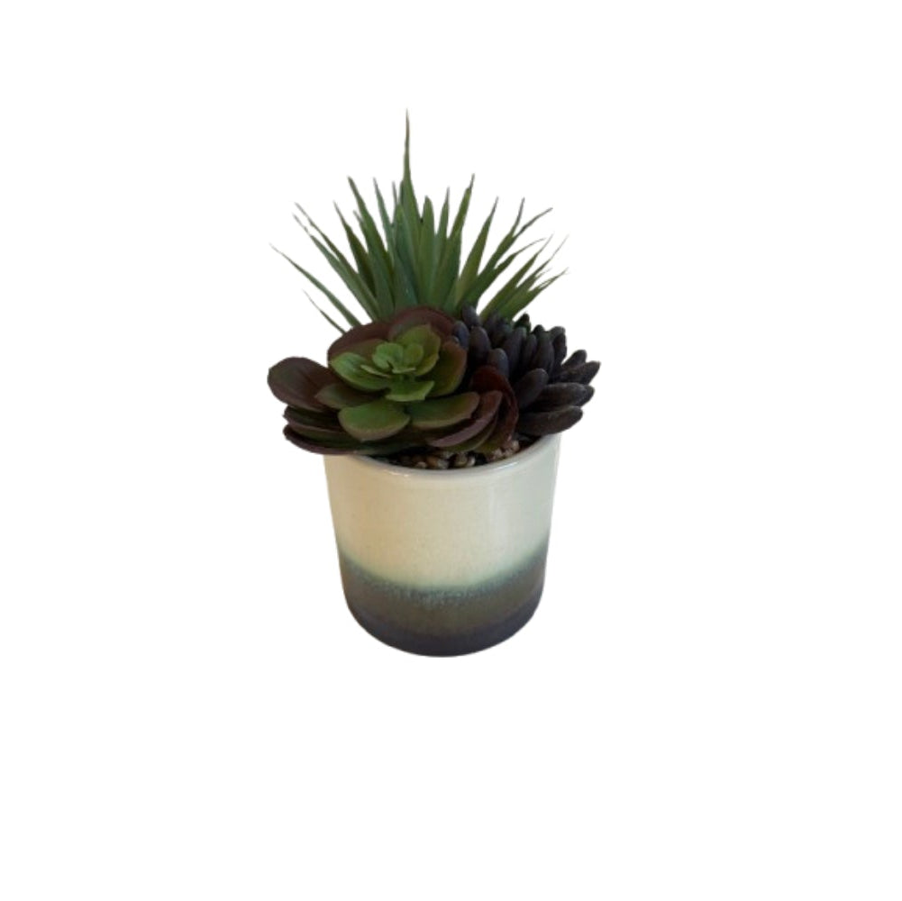 Faux Succulent in Refractive Multi Pot