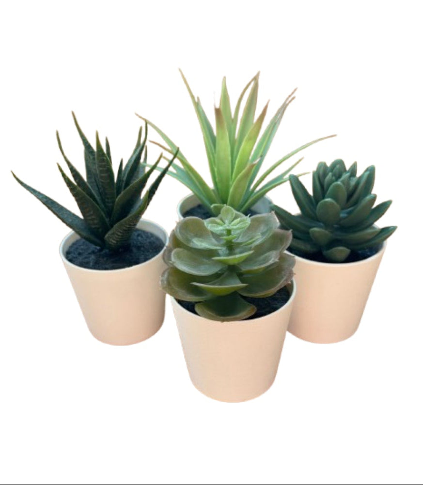 Faux Succulent Mini Assorted