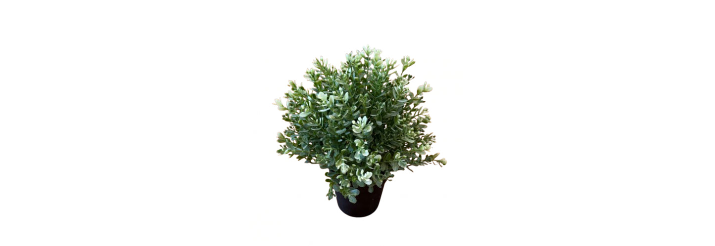 Faux Rosemary Plant