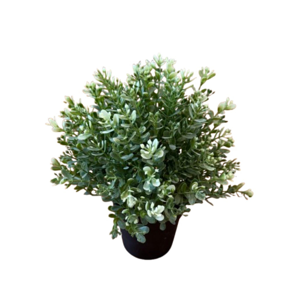 Faux Rosemary Plant
