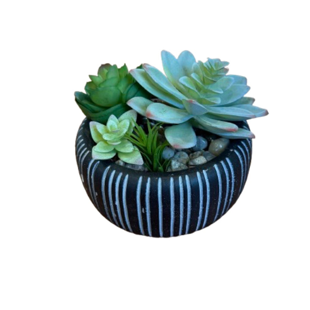 Faux Succulent Mix in Black and White Stripe Pot