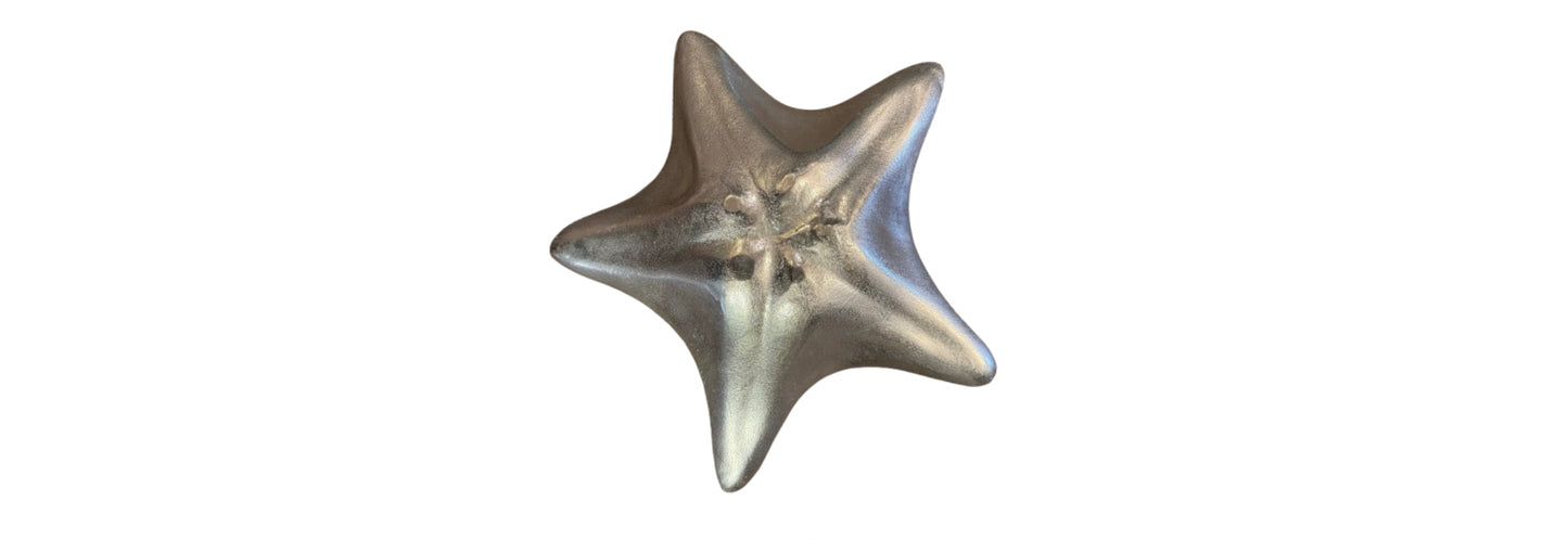 Starfish Platter | Preowned