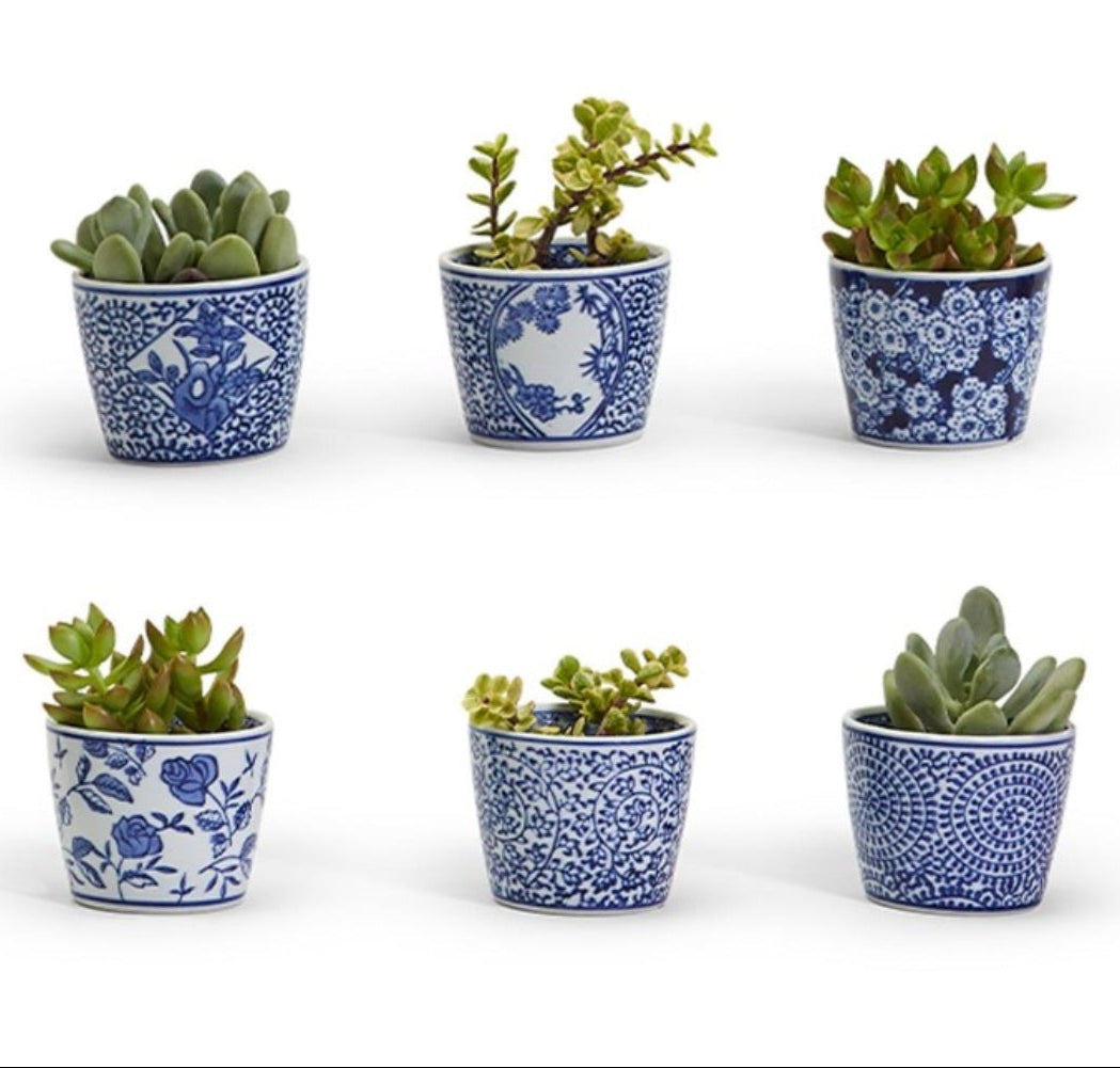 Canton Collection Cachepot Assortment