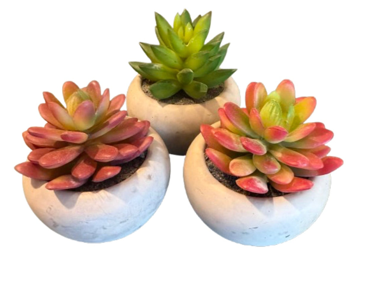 Faux Succulent Plant in Cement Pot Assorted |Preowned