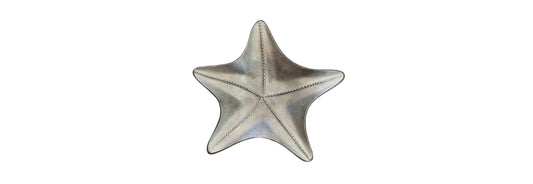 Starfish Platter | Preowned