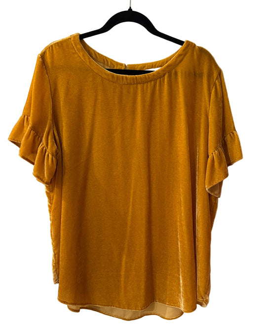 Ann Taylor Loft Gold Velvet Ruffle Sleeve Top Size XL | Preowned