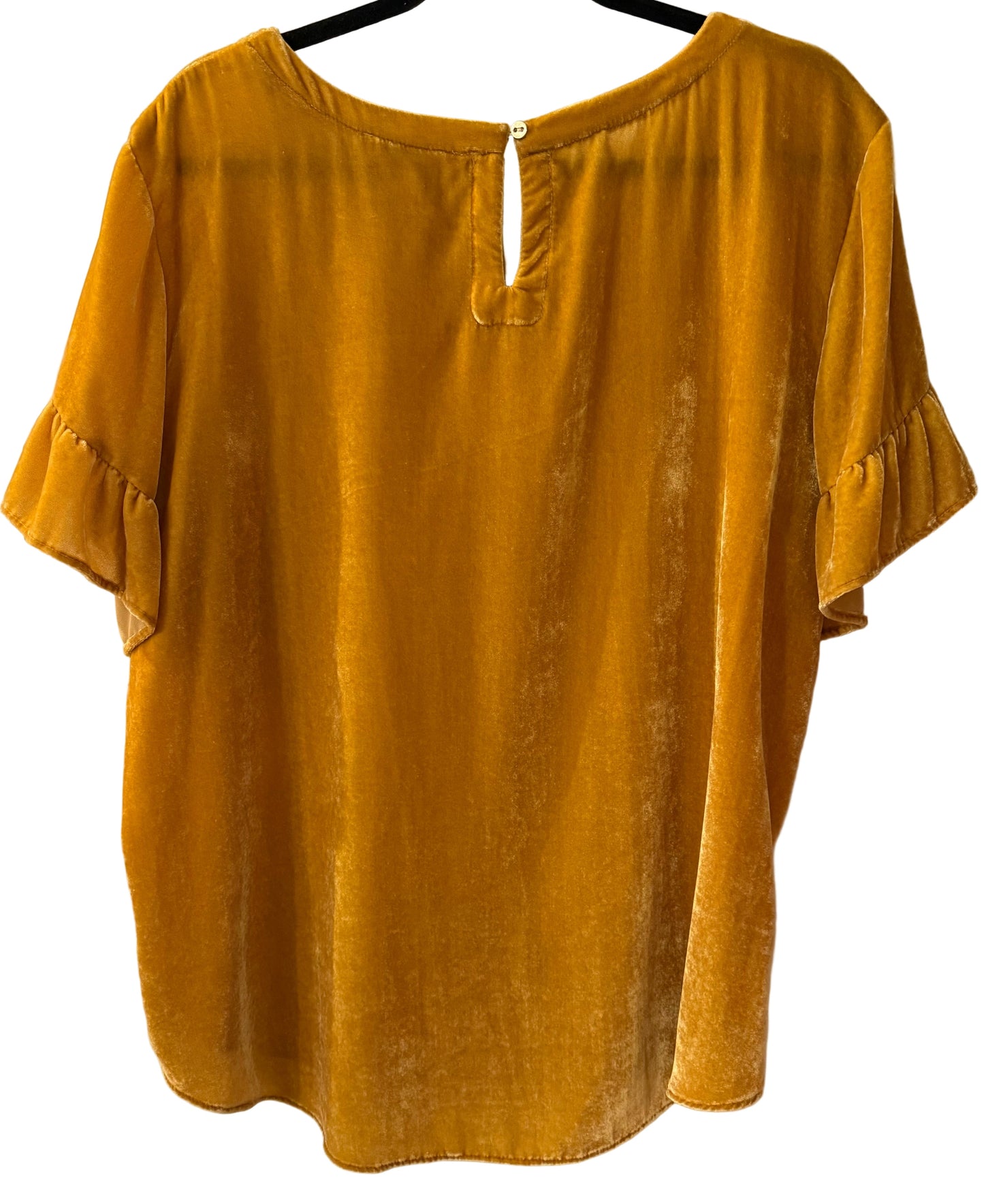 Ann Taylor Loft Gold Velvet Ruffle Sleeve Top Size XL | Preowned