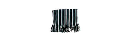 Coldwater Creek Scarf Multi  Colored Turquoise