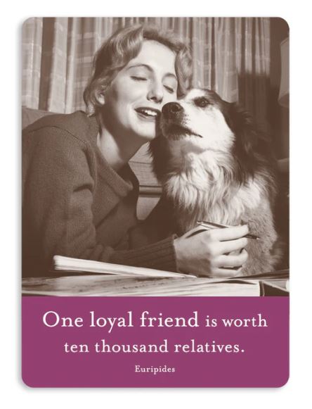 Magnet: One Loyal Friend