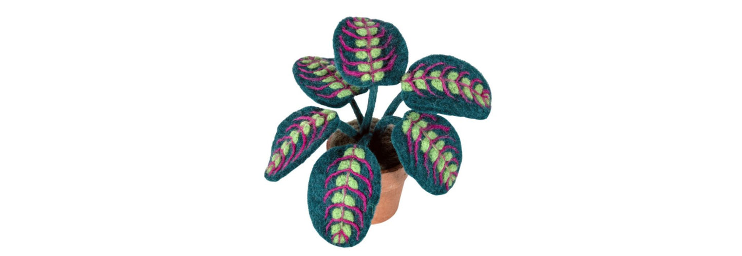Felted Potted Plant