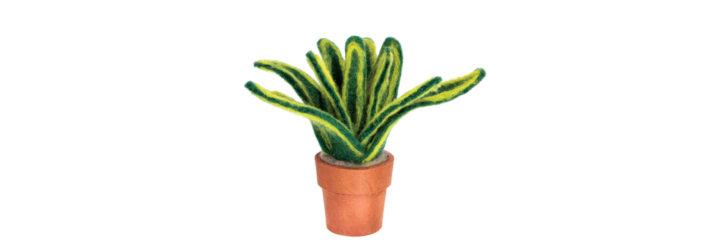Felted Potted Plant