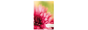 Comfort and Peace Sympathy Card