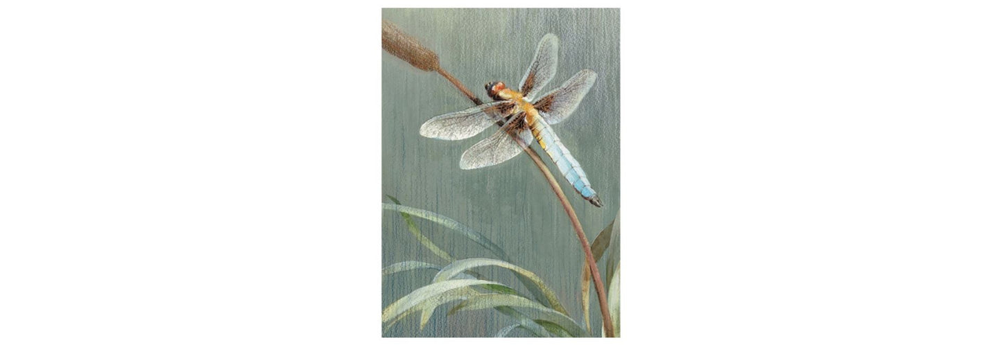 Dragonfly Sympathy Card