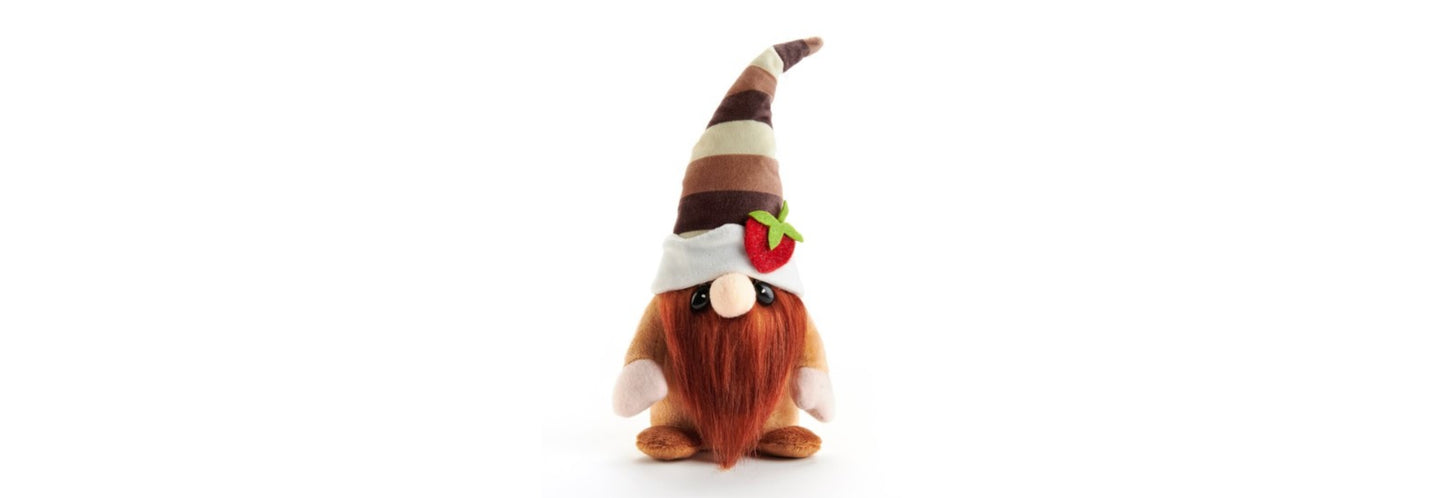 Cocoa Gnomie