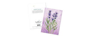 Lavender All Occasions Greeting Card - Soulflower