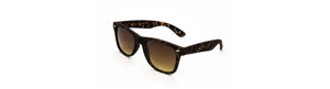 Sunglasses Sandbox - DM Merchandising
