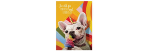 Unicorns And Rainbows Dog Birthday Greeting Card